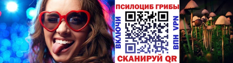 Псилоцибиновые грибы мицелий Мариинский Посад