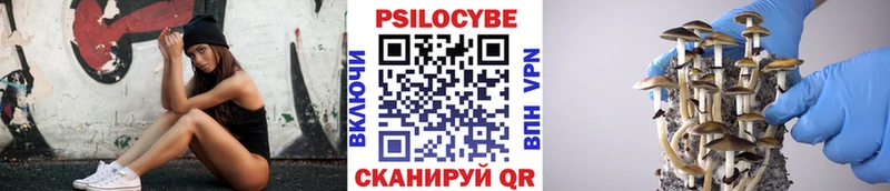 Галлюциногенные грибы MAGIC MUSHROOMS  Мариинский Посад 
